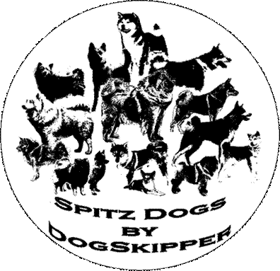 logo dogskipper